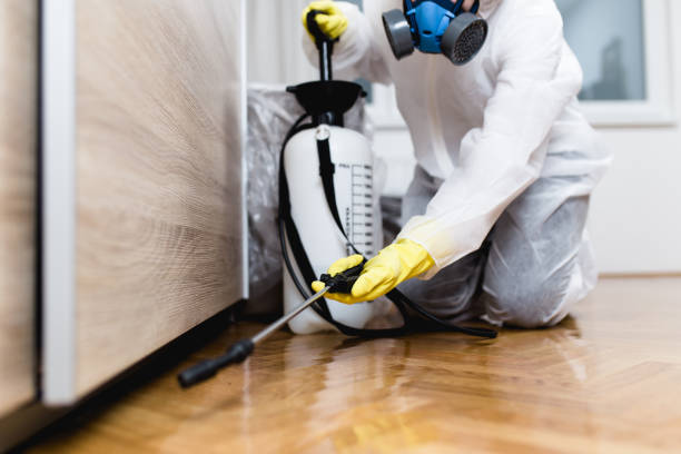 Best Best Pest Control Companies  in Morton, TX