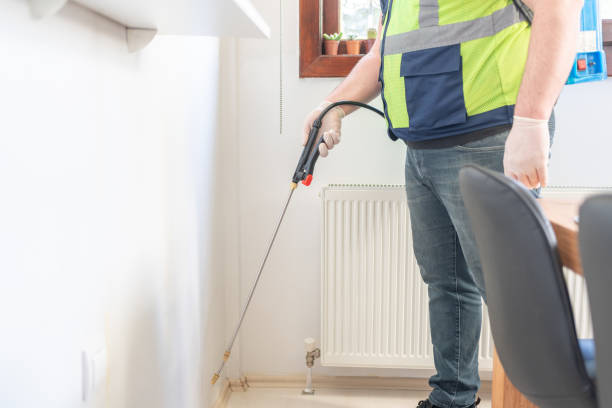 Best Flea Control Services  in Morton, TX