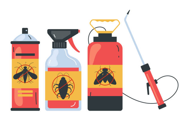 Best Pest Control Treatment  in Morton, TX