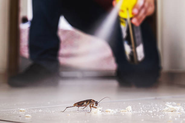 Morton, TX Pest Control Company